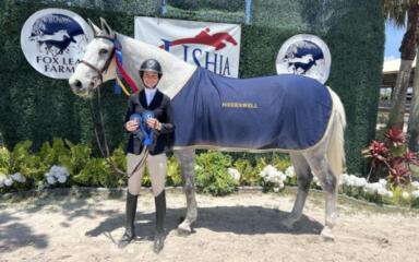 Paseos a caballo FLCCA