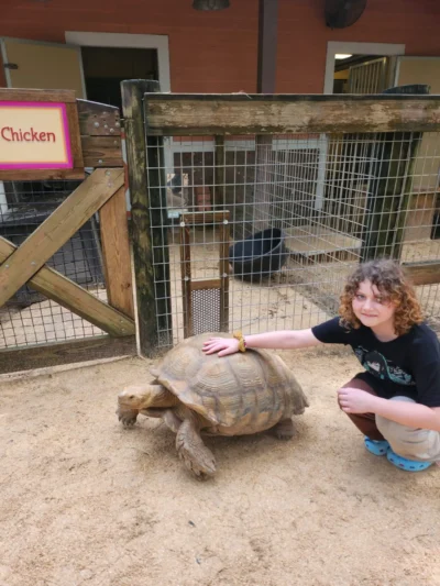 Niños con tortuga en el zoo