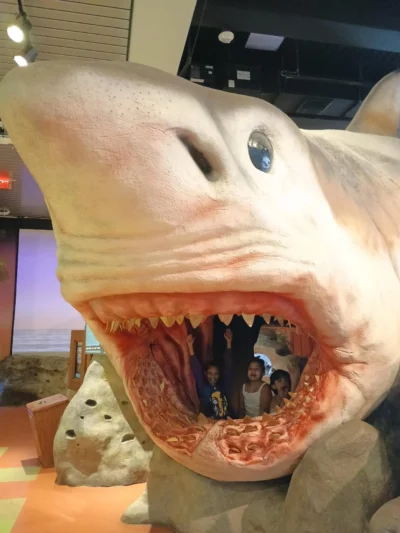 niños en la atracción del tiburón