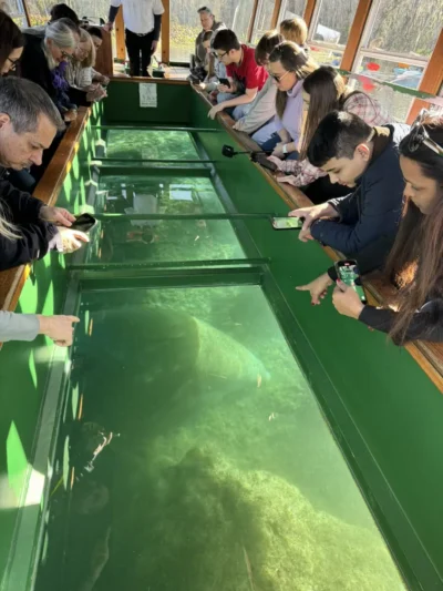 Niños mirando el lago