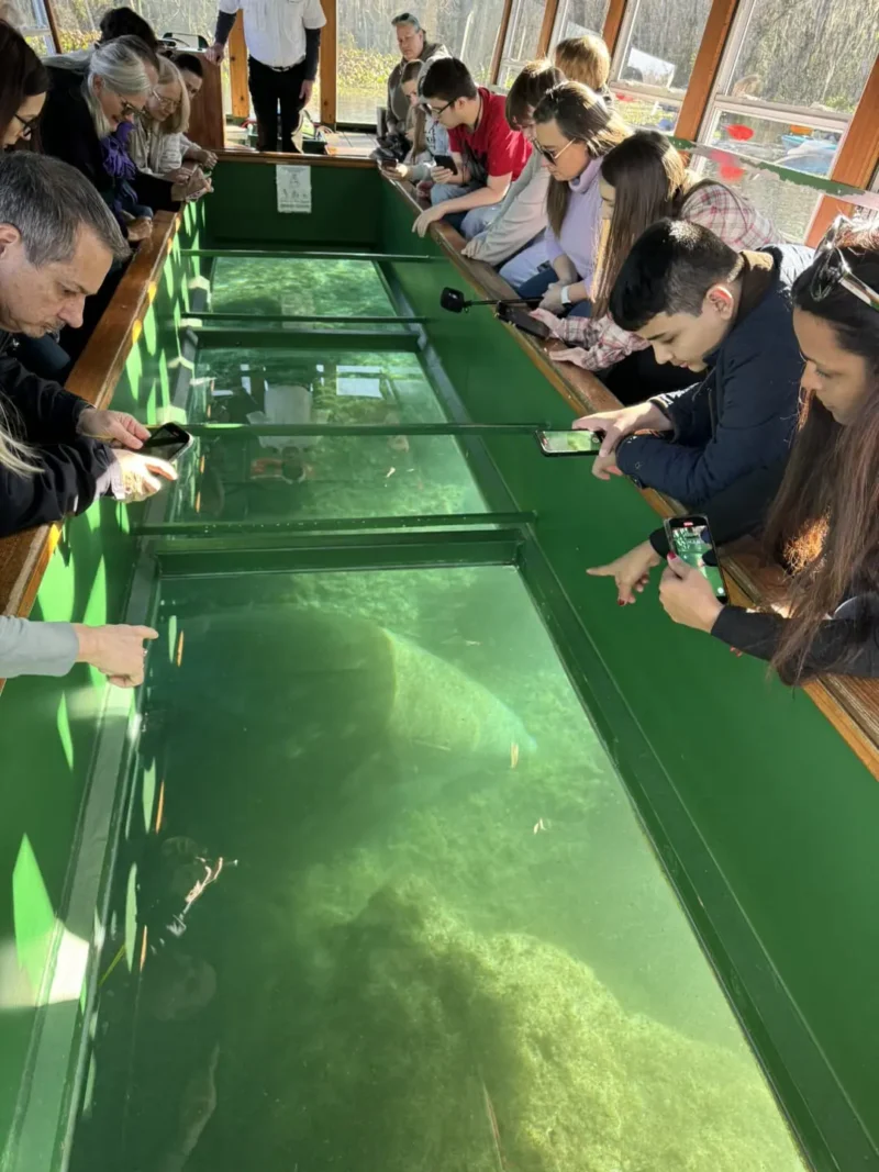 Niños mirando el lago