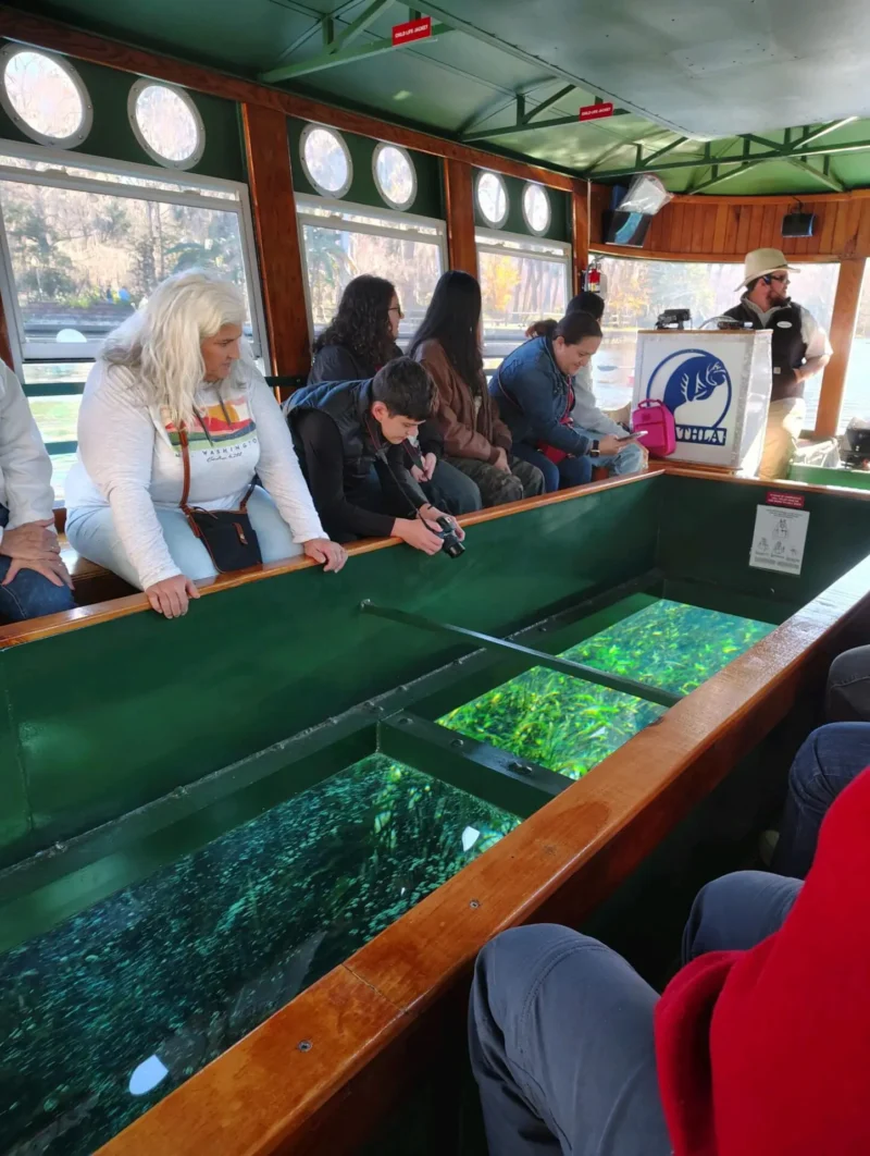 gente mirando un gran pez desde un barco